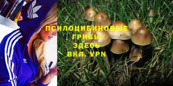 мдпв Абаза