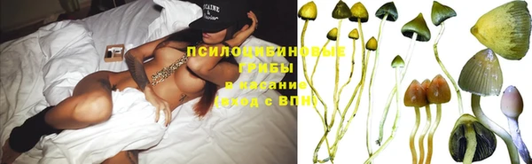 мдпв Абаза