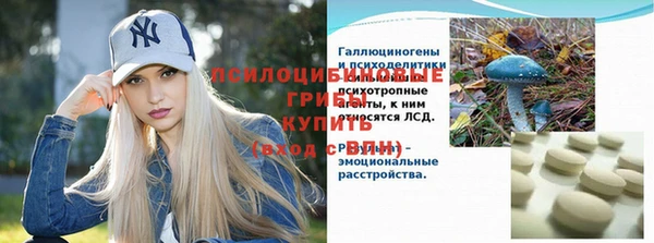 сатива Алексин
