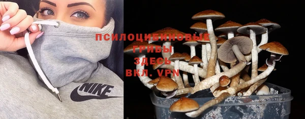 сатива Алексин