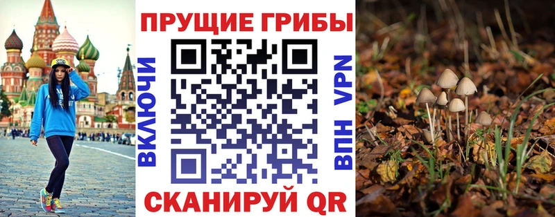 Галлюциногенные грибы Magic Shrooms  закладки  Талдом 